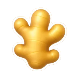 gừng 生姜