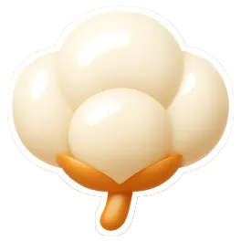 bông 棉花