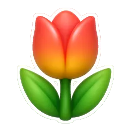 hoa tulip 郁金香
