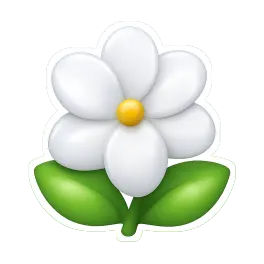 hoa nhài 茉莉花
