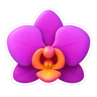 hoa lan 兰花