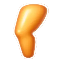 đùi 大腿