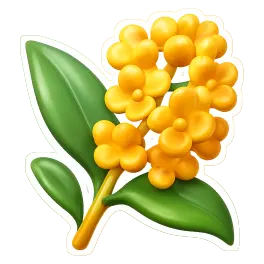 hoa quế 桂花