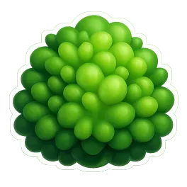 rậm rạp 茂密