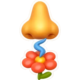 hương thơm 香味