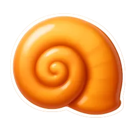 vỏ sò 贝壳
