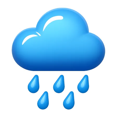 mưa 雨