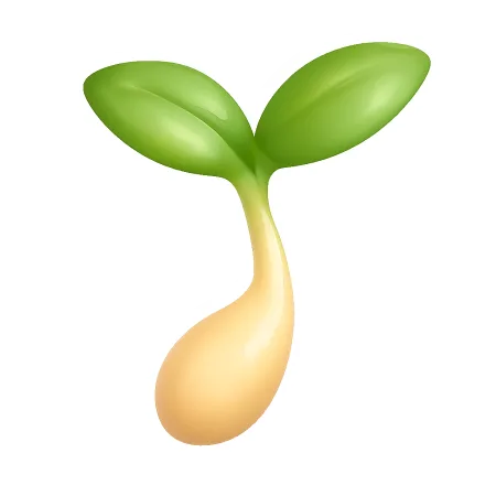 giá đỗ 豆芽