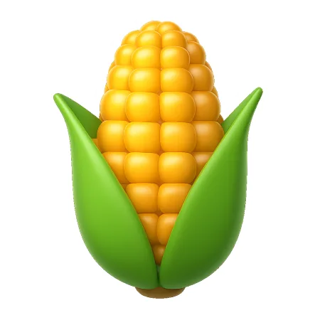ngô 玉米