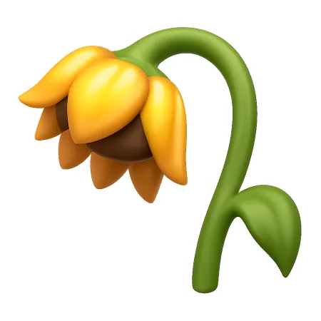 héo 枯萎