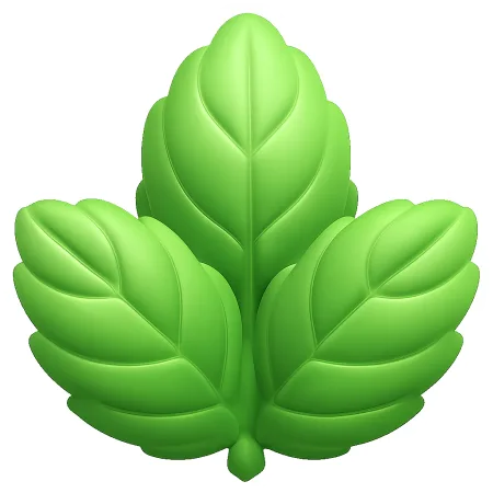 bạc hà 薄荷