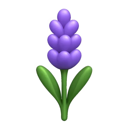 hoa oải hương 薰衣草