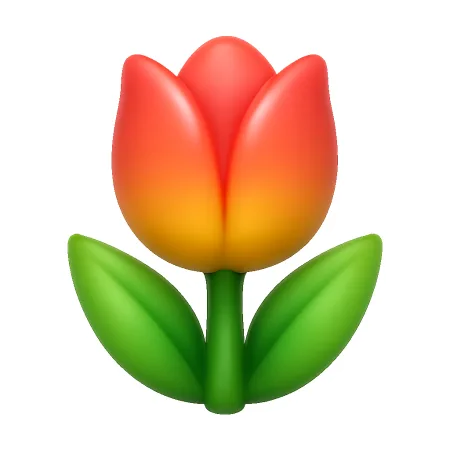 hoa tulip 郁金香