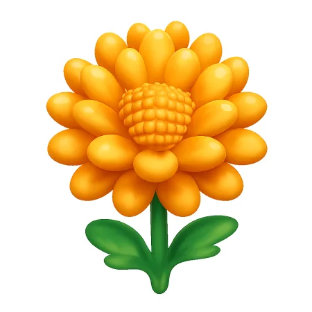 hoa cúc 菊花