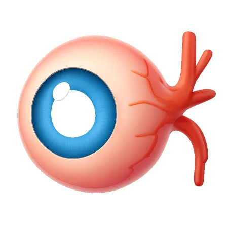 võng mạc 视网膜
