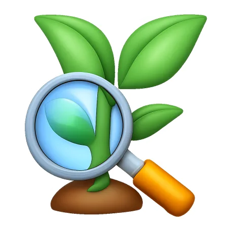 lý do 理由