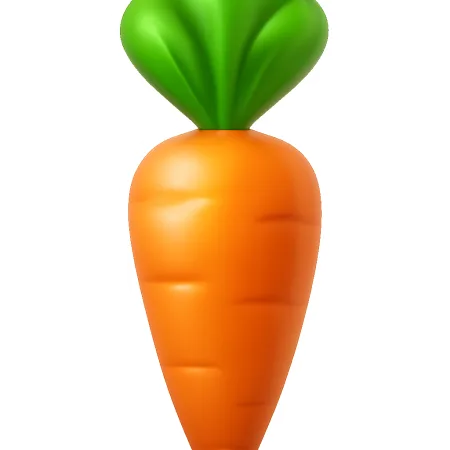 củ cải 萝卜
