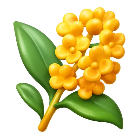 hoa quế 桂花