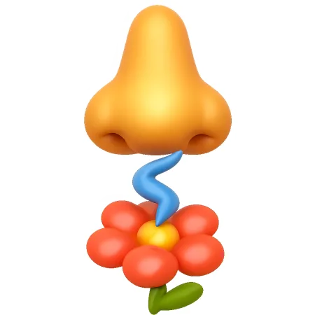 hương thơm 香味