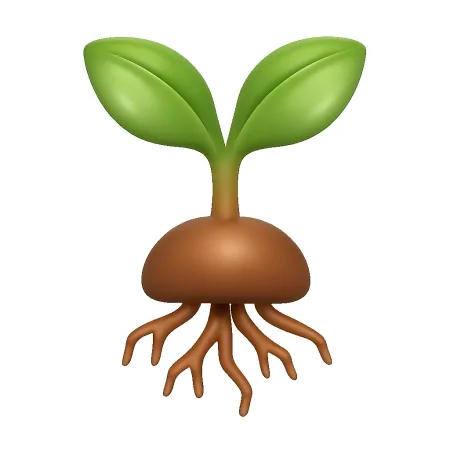 bén rễ 扎根