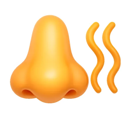 mùi 气味