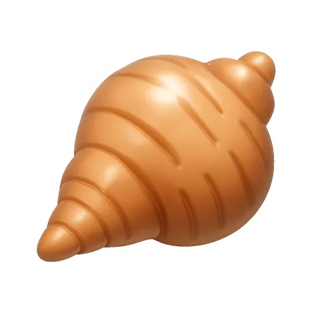vỏ sò 贝壳