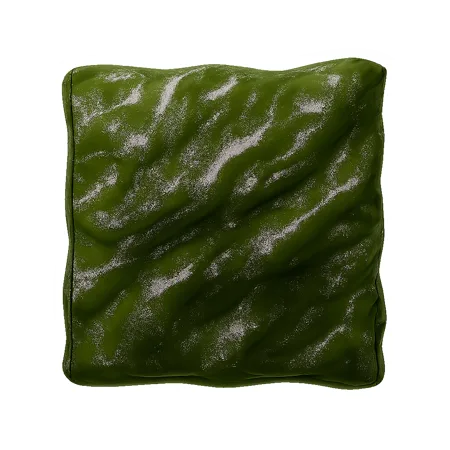 rong biển 海苔；海藻